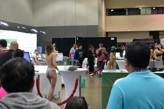 DSC 0337