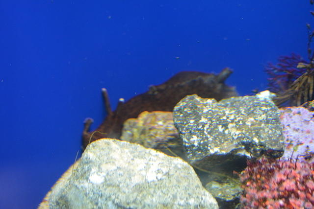 DSC 0043