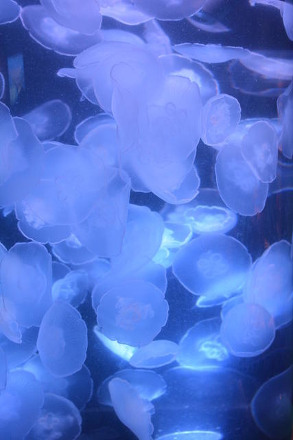 DSC 0047
