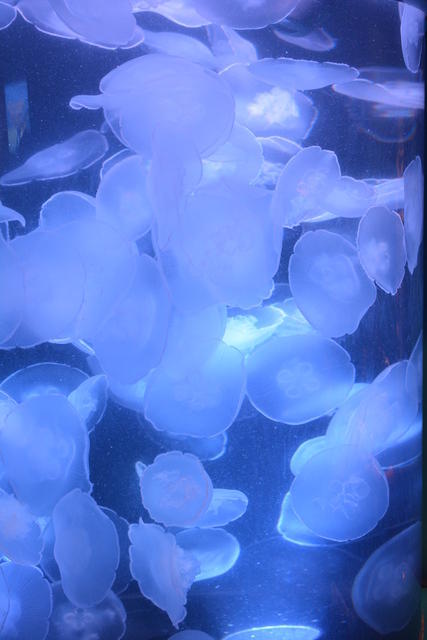 DSC 0048