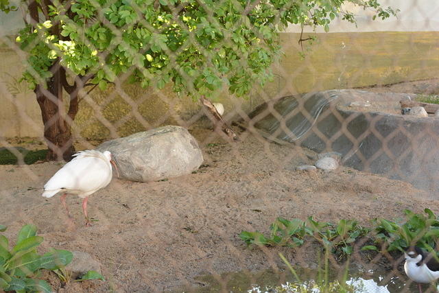 DSC 0103