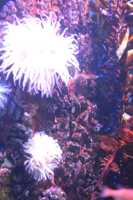 DSC 0191