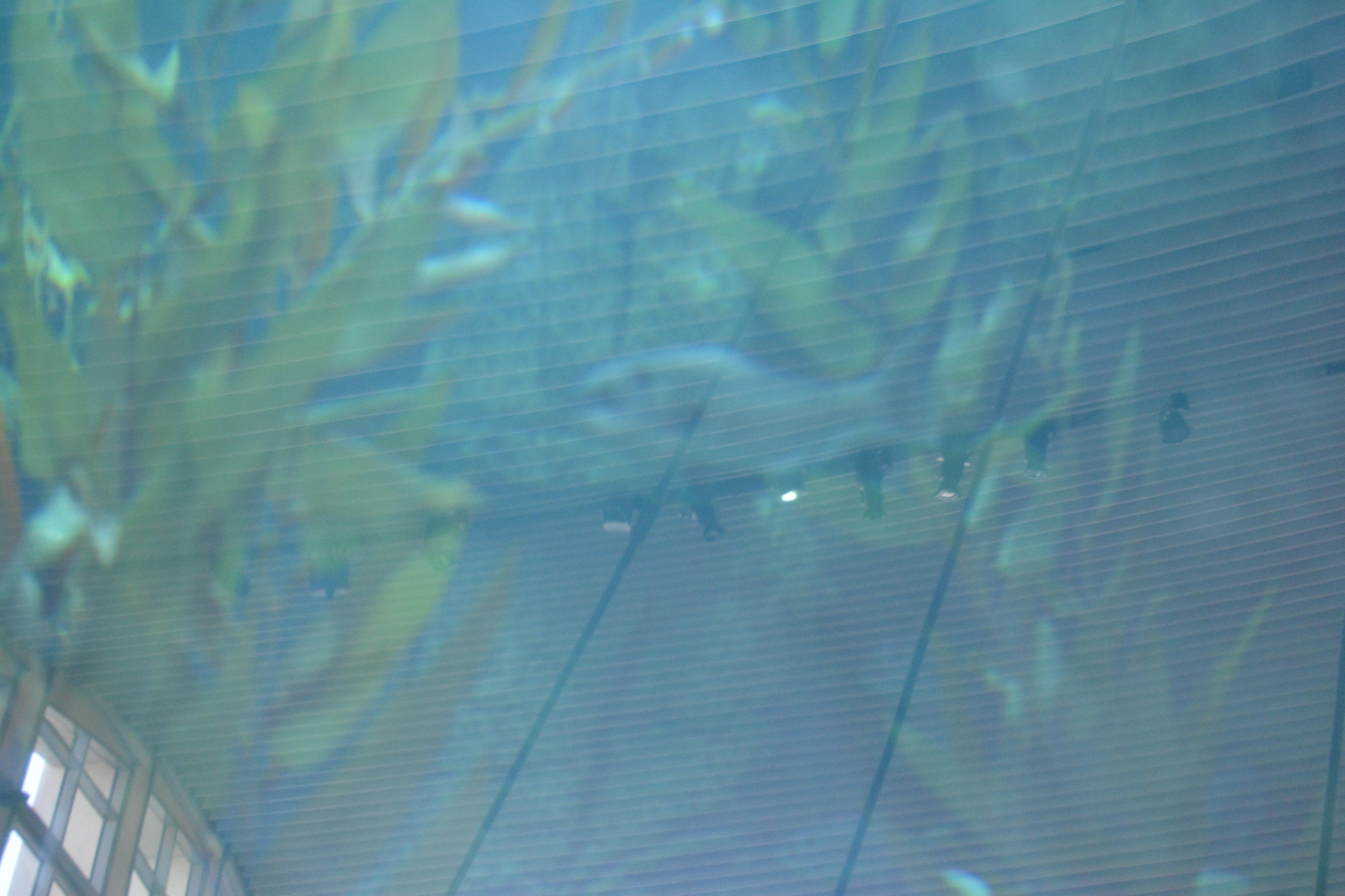DSC 0207