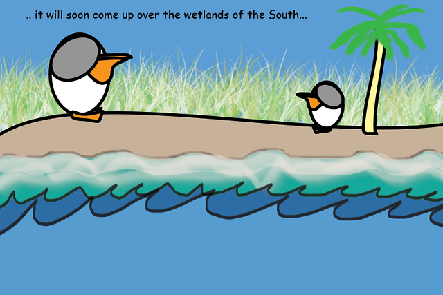 3.--southern-wetlandspng