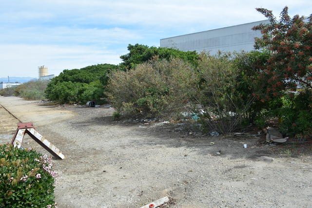 DSC 0204