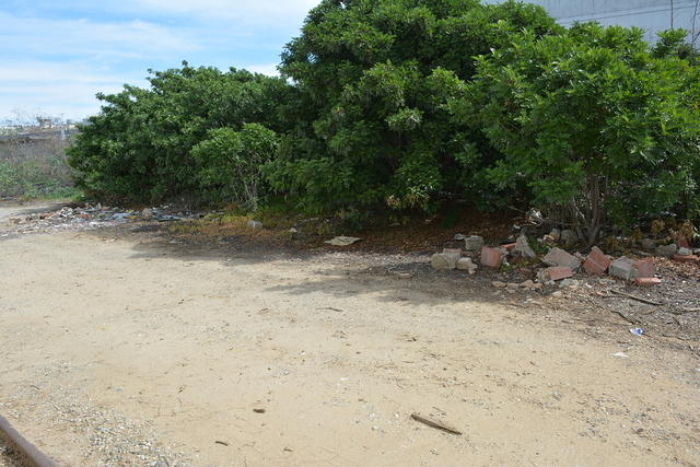 DSC 0208