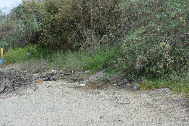 DSC 0212