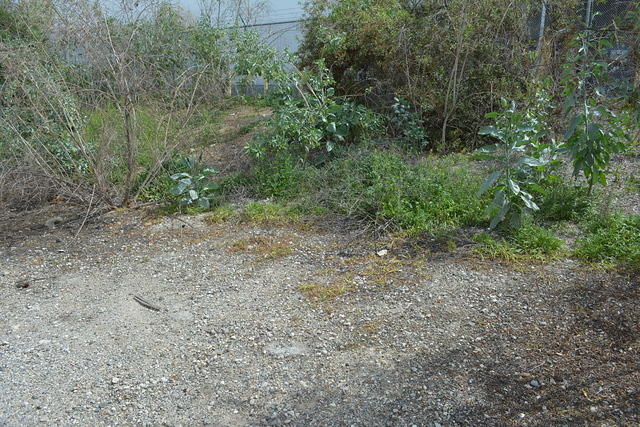 DSC 0214