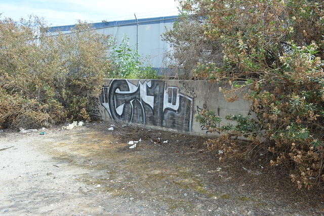 DSC 0219
