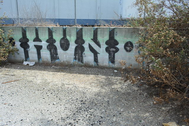 DSC 0220