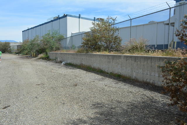 DSC 0221