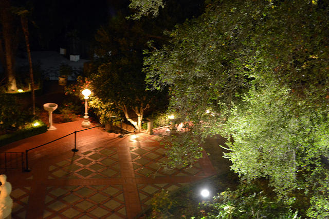 DSC 0001