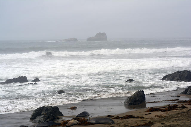 DSC 0096