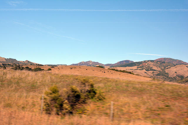 DSC 0508