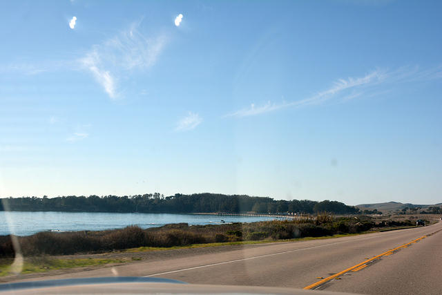 DSC 0515