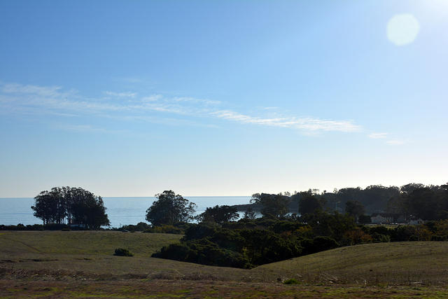 DSC 0536