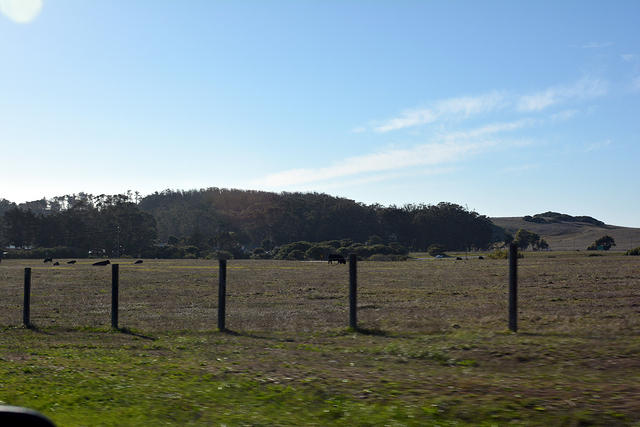 DSC 0537