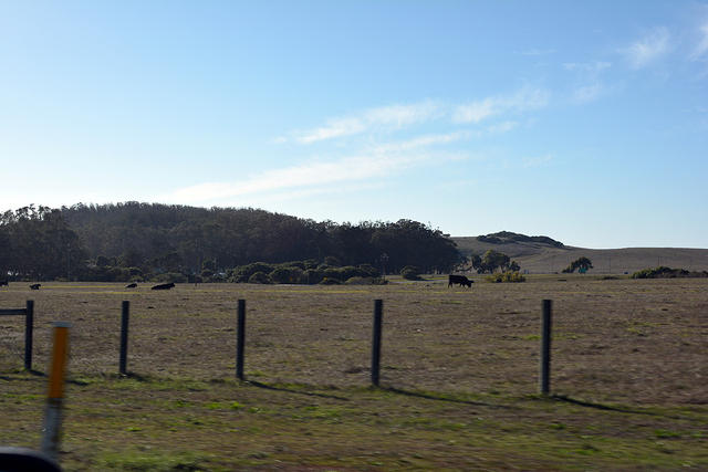 DSC 0538