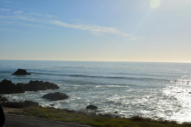 DSC 0556