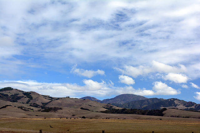 DSC 0566
