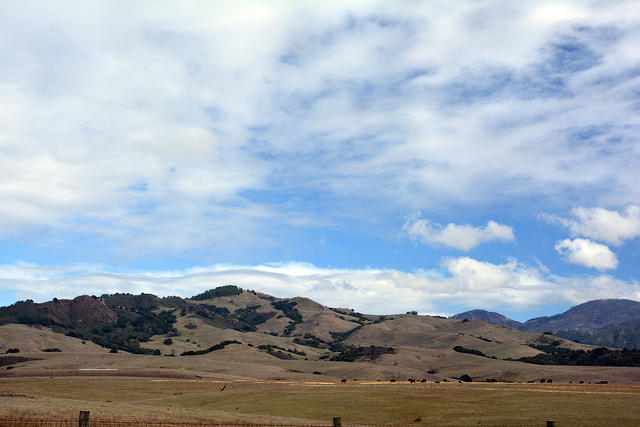 DSC 0567