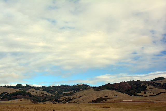DSC 0568