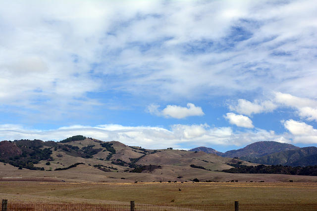 DSC 0570