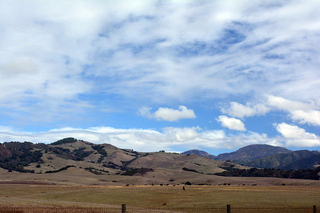 DSC 0571