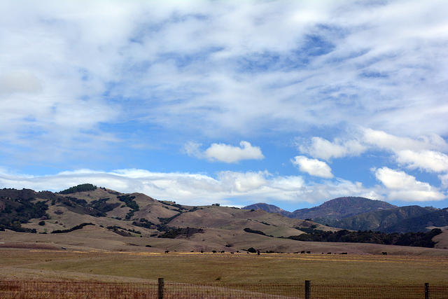 DSC 0572