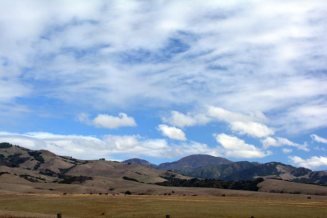 DSC 0576