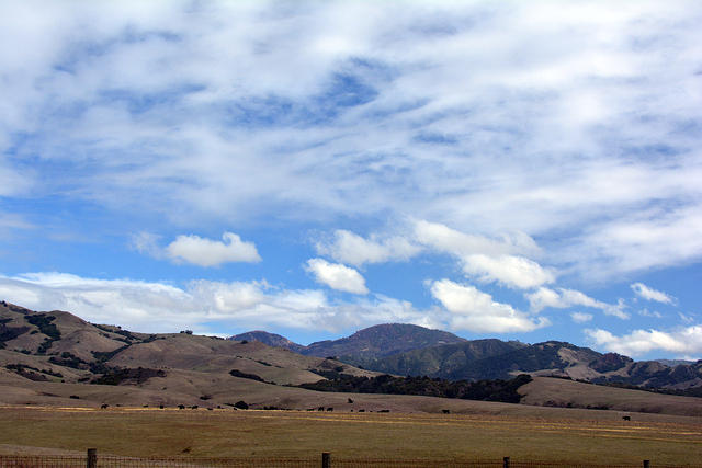 DSC 0577