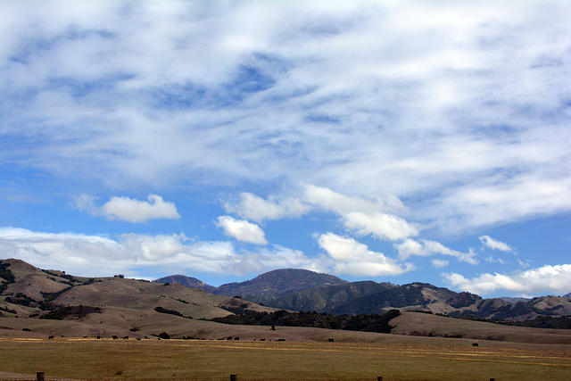 DSC 0579