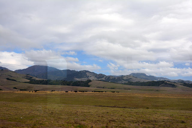 DSC 0584