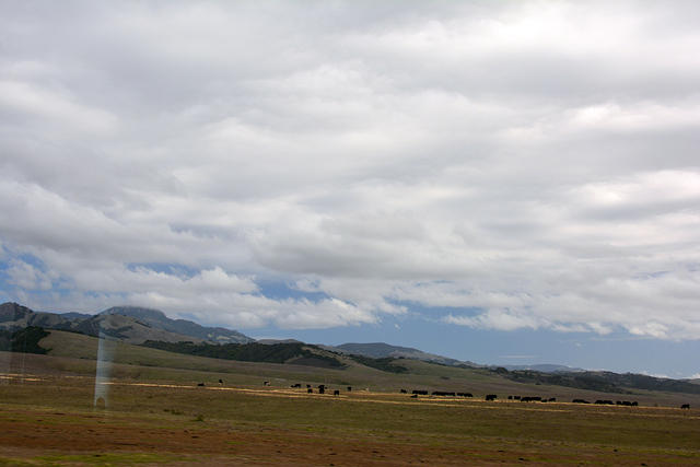 DSC 0585