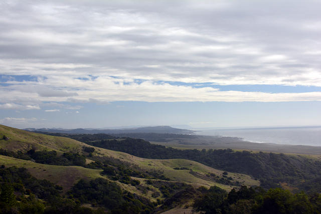 DSC 0605