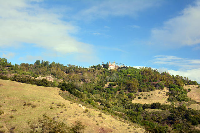 DSC 0613