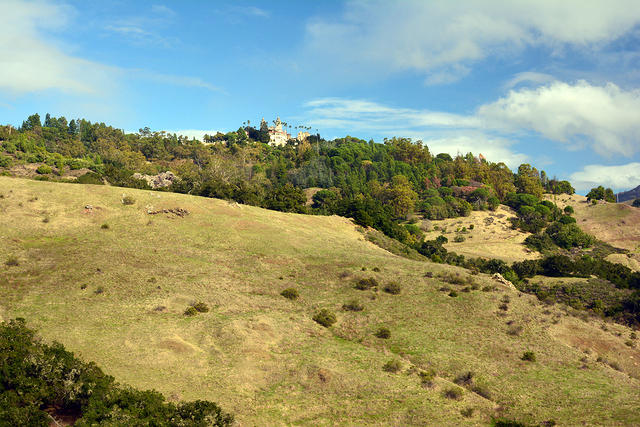 DSC 0619