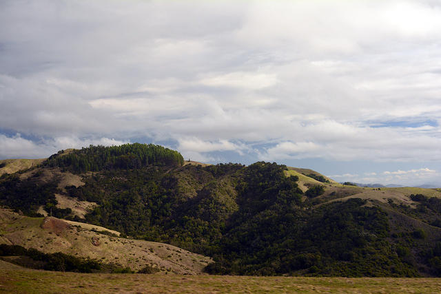 DSC 0621