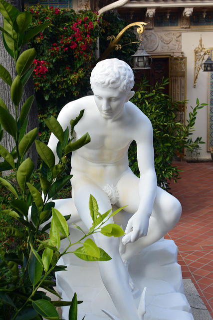 DSC 0667