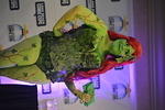 DSC 0540