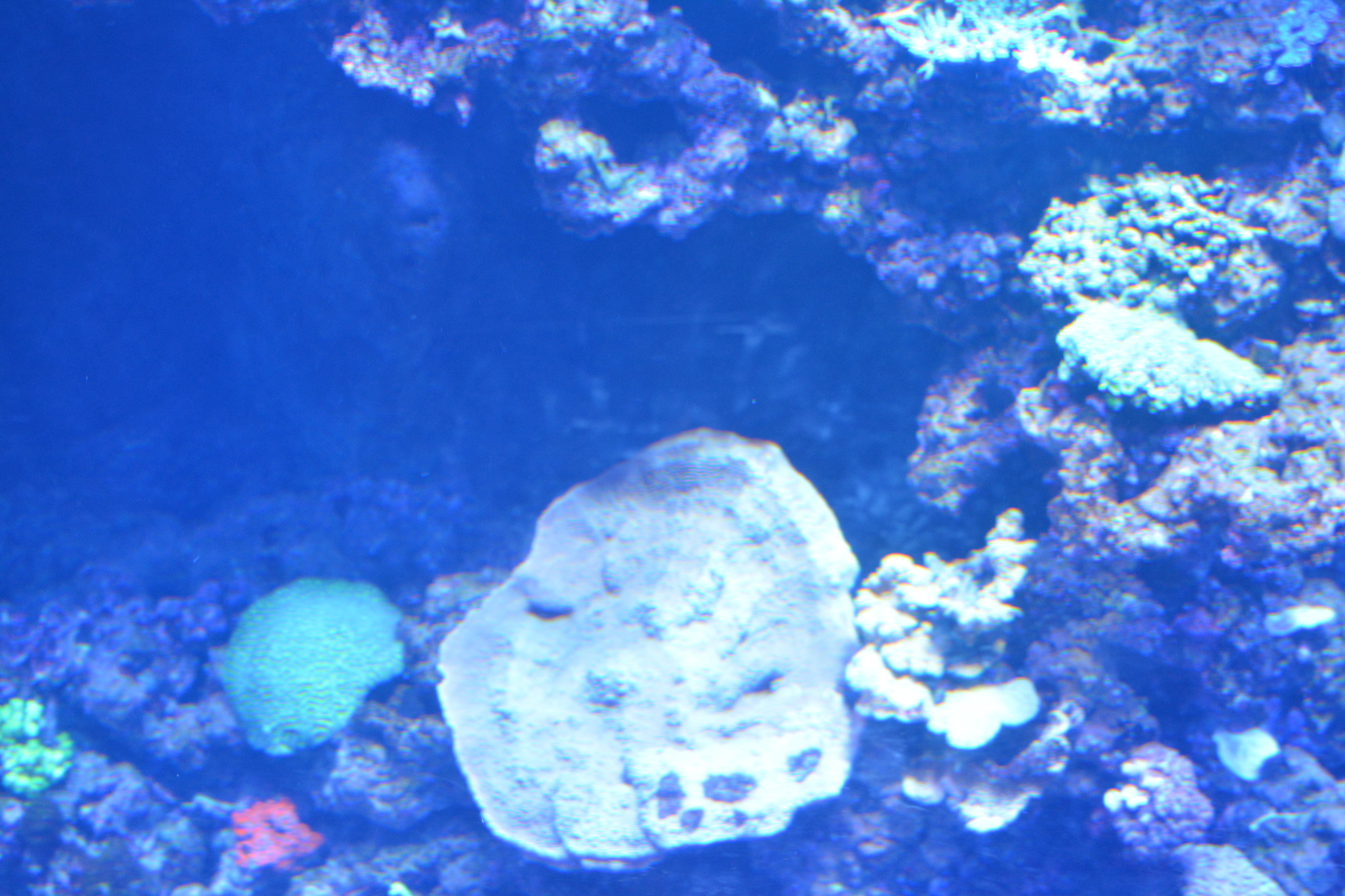 DSC 0003