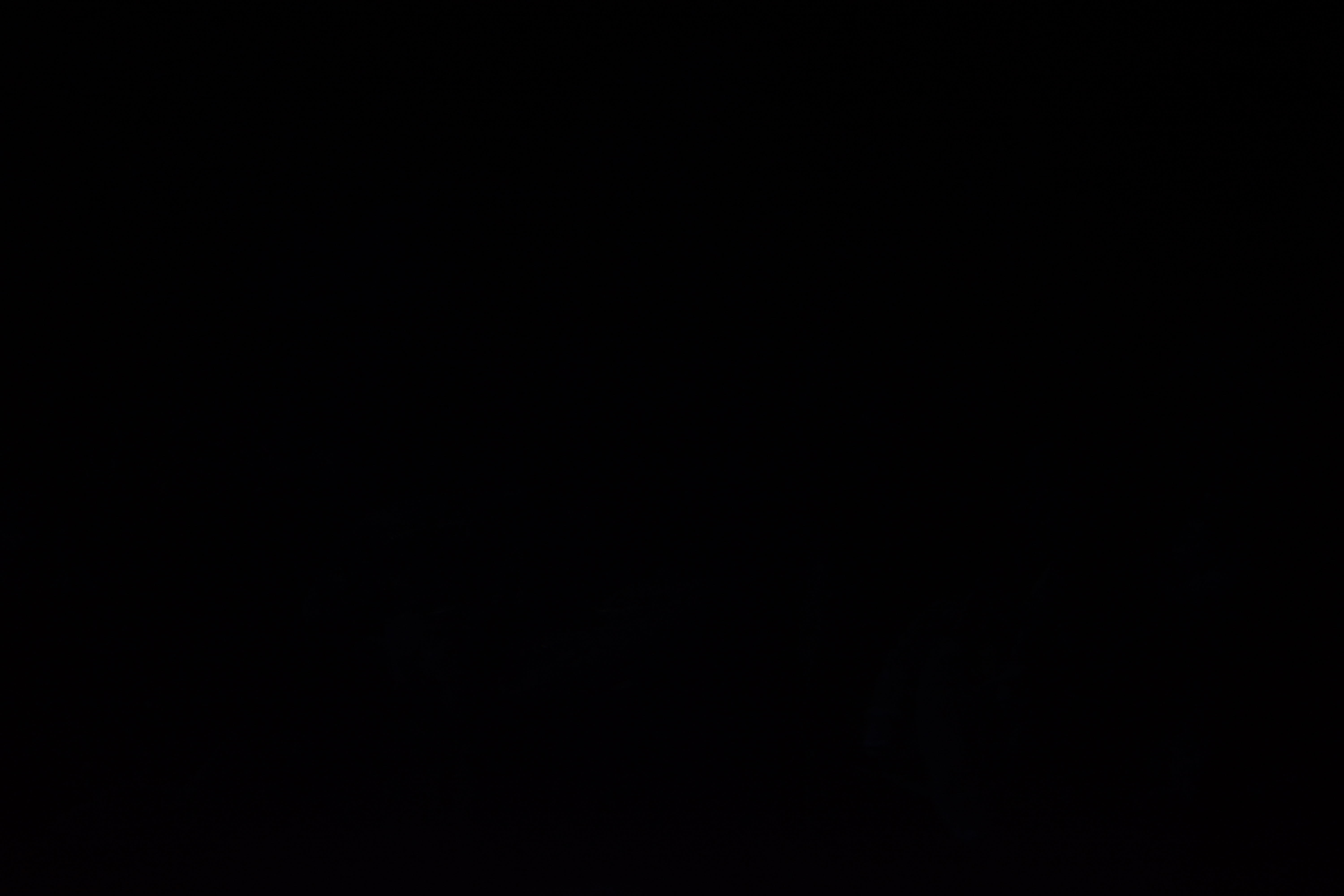 DSC 0010