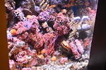 DSC 0022