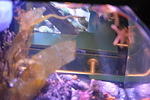 DSC 0035