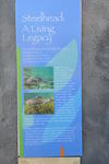 DSC 0079