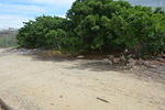 DSC 0208
