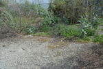 DSC 0214