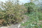 DSC 0215