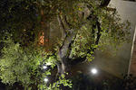 DSC 0002