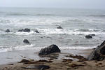 DSC 0063